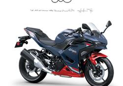 Kawasaki Ninja 500 SE (2024 - 26) nuova