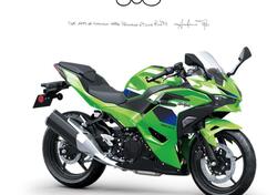 Kawasaki Ninja 500 SE (2024 - 26) nuova