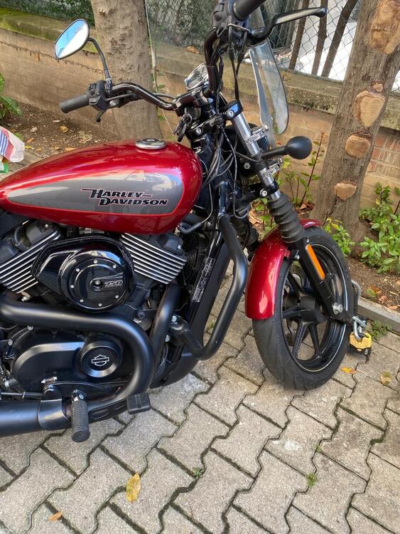 Harley-Davidson 750 Street (2017 - 20) - XG 750 (2)