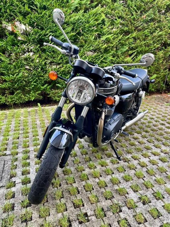Triumph Bonneville T100 (2021 - 25) (2)