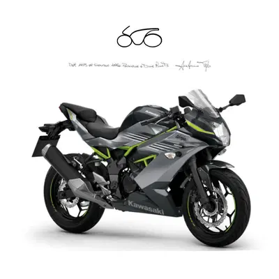 Kawasaki Ninja 125 (2025 - 26) nuova