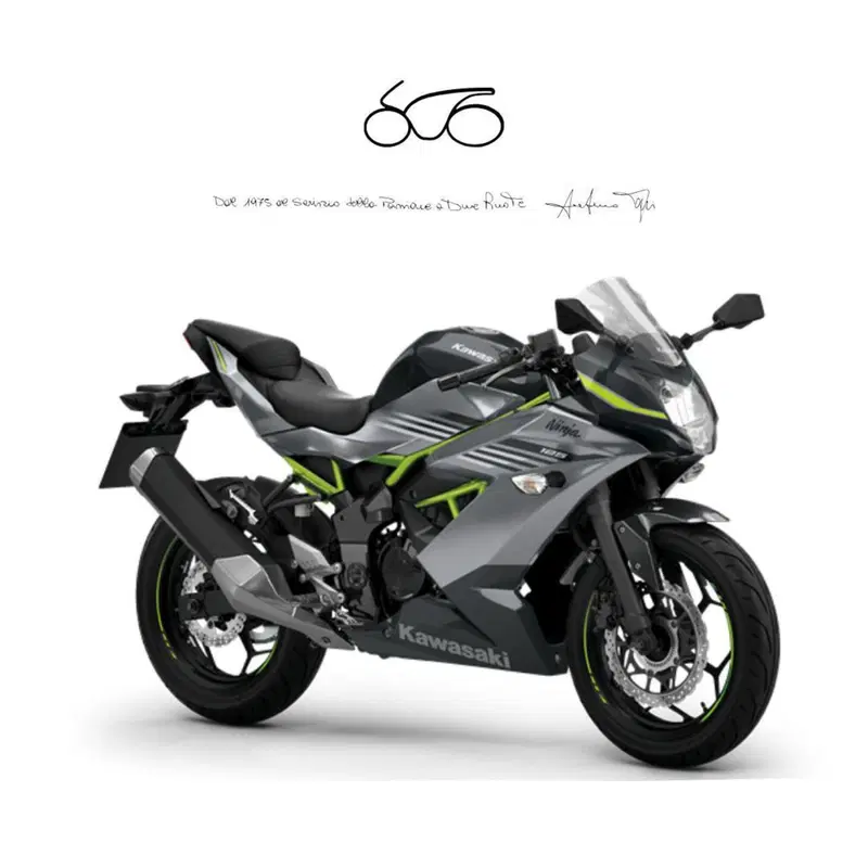 Kawasaki Ninja 125 (2025 - 26)