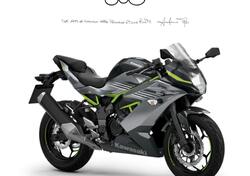 Kawasaki Ninja 125 (2025 - 26) nuova