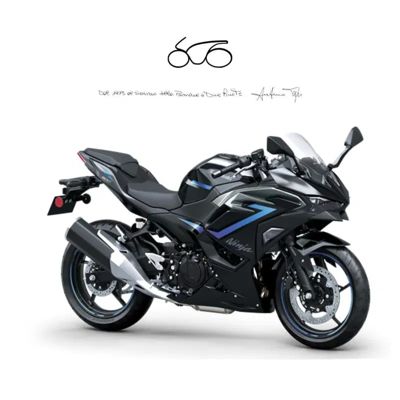 Kawasaki Ninja 500 SE (2024 - 26)