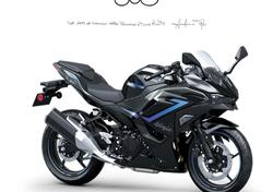 Kawasaki Ninja 500 SE (2024 - 26) nuova