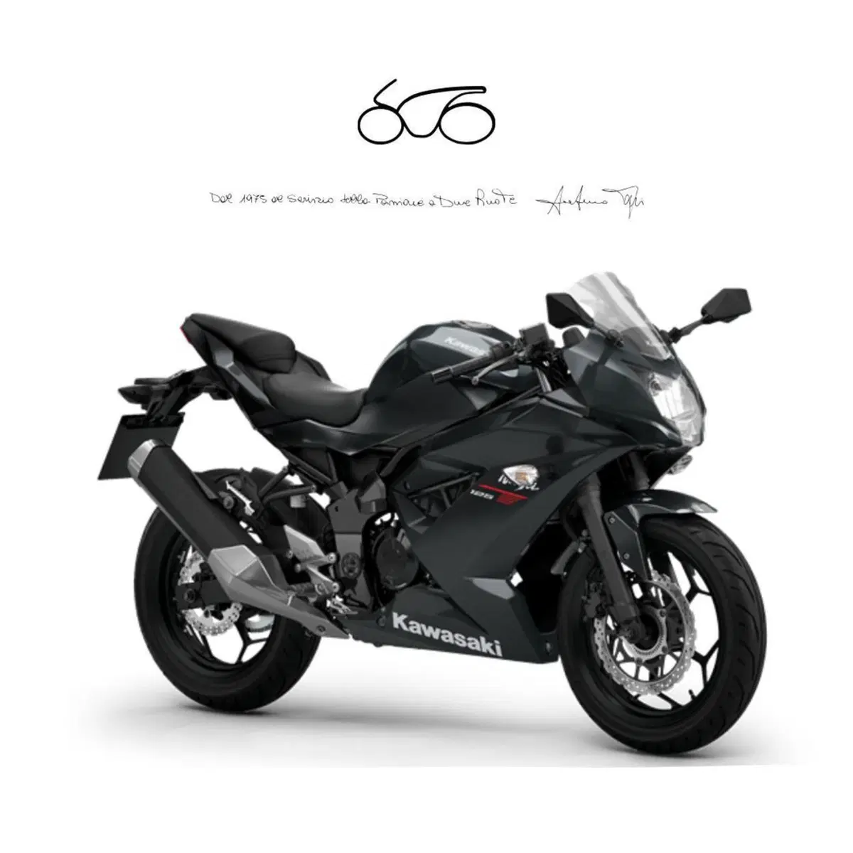 Kawasaki Ninja 125 (2025 - 26)