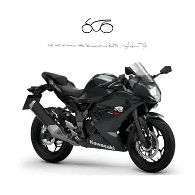 Kawasaki Ninja 125 (2025 - 26) nuova