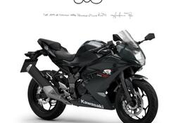 Kawasaki Ninja 125 (2025 - 26) nuova