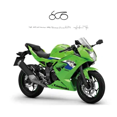Kawasaki Ninja 125 (2025 - 26) nuova
