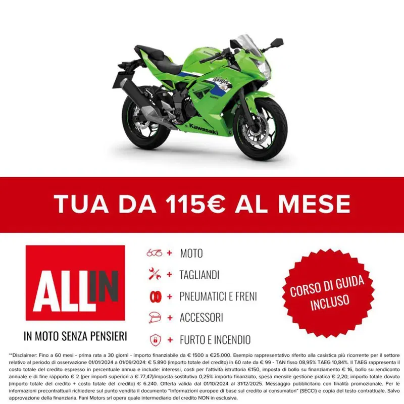 Kawasaki Ninja 125 (2025 - 26) (2)