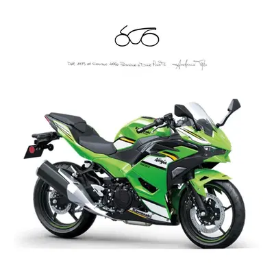 Kawasaki Ninja 500 SE (2024 - 26) nuova