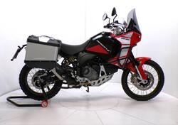 Ducati DesertX Discovery (2025) usata