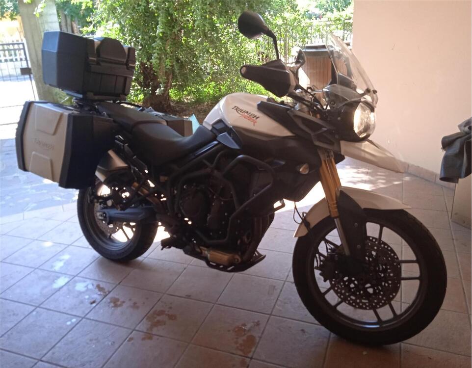 Triumph Tiger 800 XC ABS (2010 - 14) (2)