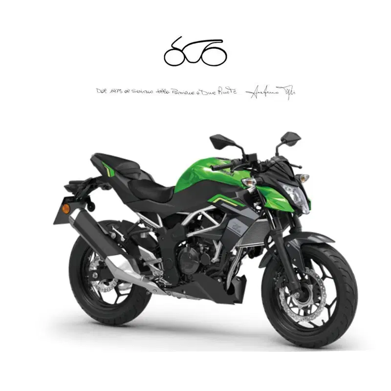 Kawasaki Z 125 (2025 - 26)