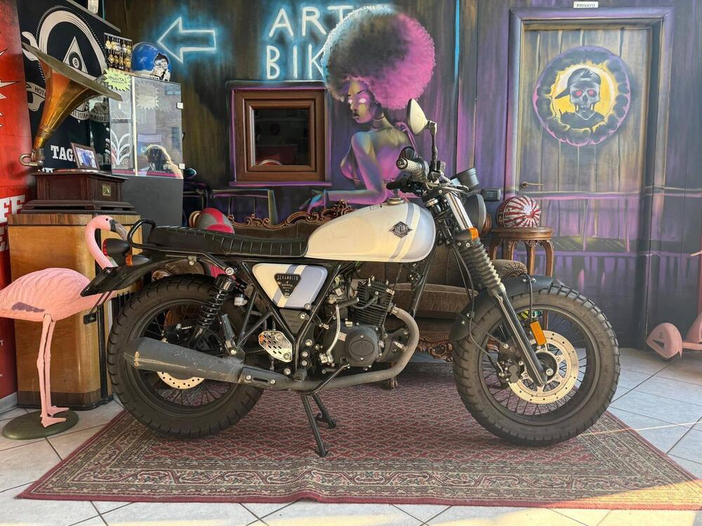 Archive Motorcycle AM 84 50 Scrambler (2019 - 20) (2)