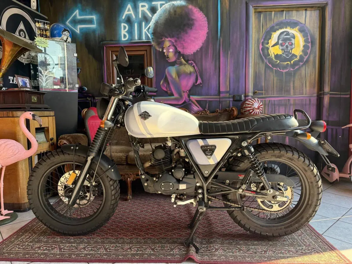 Archive Motorcycle AM 84 50 Scrambler (2019 - 20)