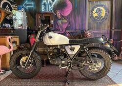 Archive Motorcycle AM 84 50 Scrambler (2019 - 20) usata