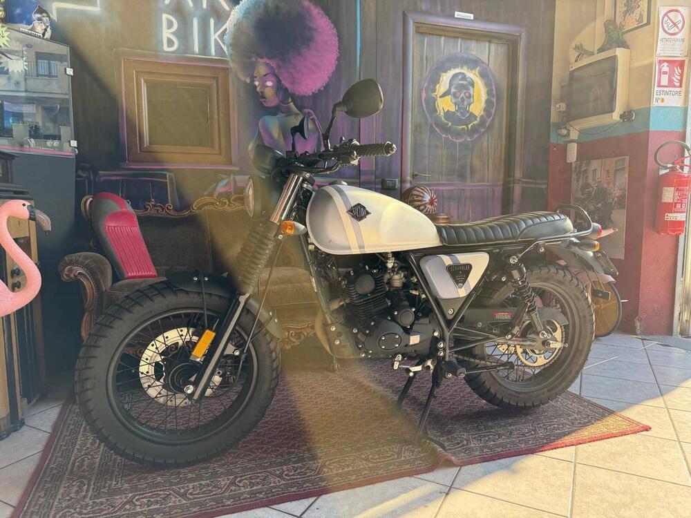 Archive Motorcycle AM 84 50 Scrambler (2019 - 20) (4)