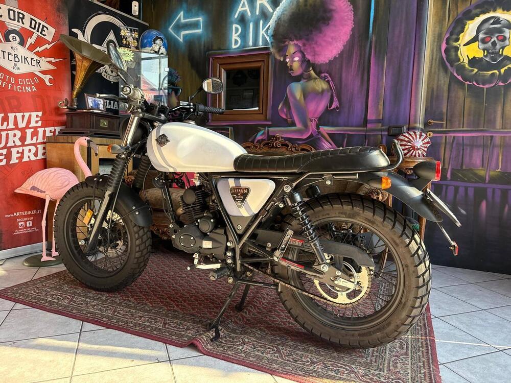 Archive Motorcycle AM 84 50 Scrambler (2019 - 20) (5)