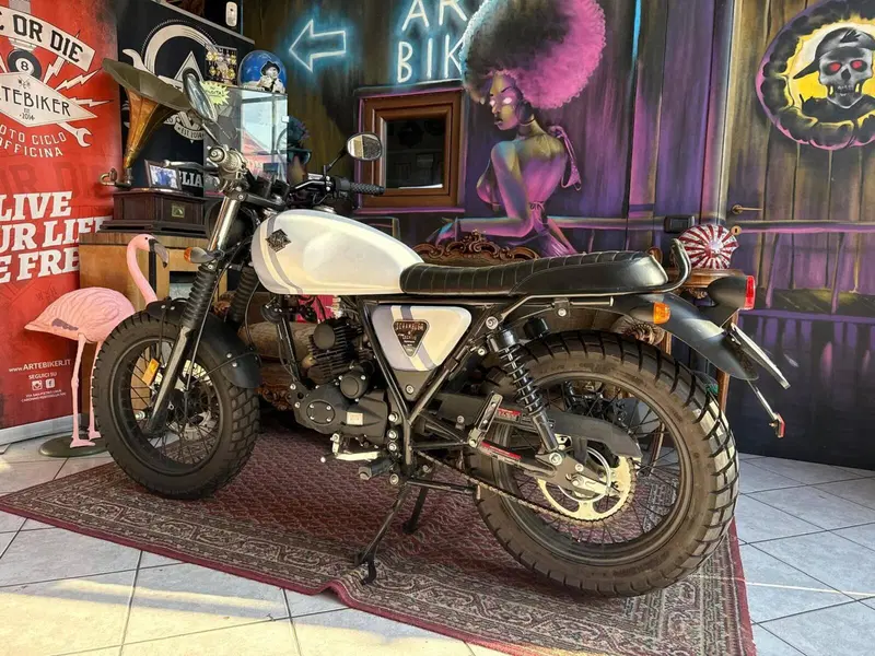 Archive Motorcycle AM 84 50 Scrambler (2019 - 20) (5)
