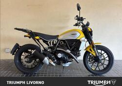Ducati Scrambler 800 Icon (2023 - 25) usata