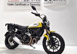 Ducati Scrambler 800 Icon (2021 - 22) usata
