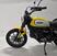 Ducati Scrambler 800 Icon (2021 - 22) (7)