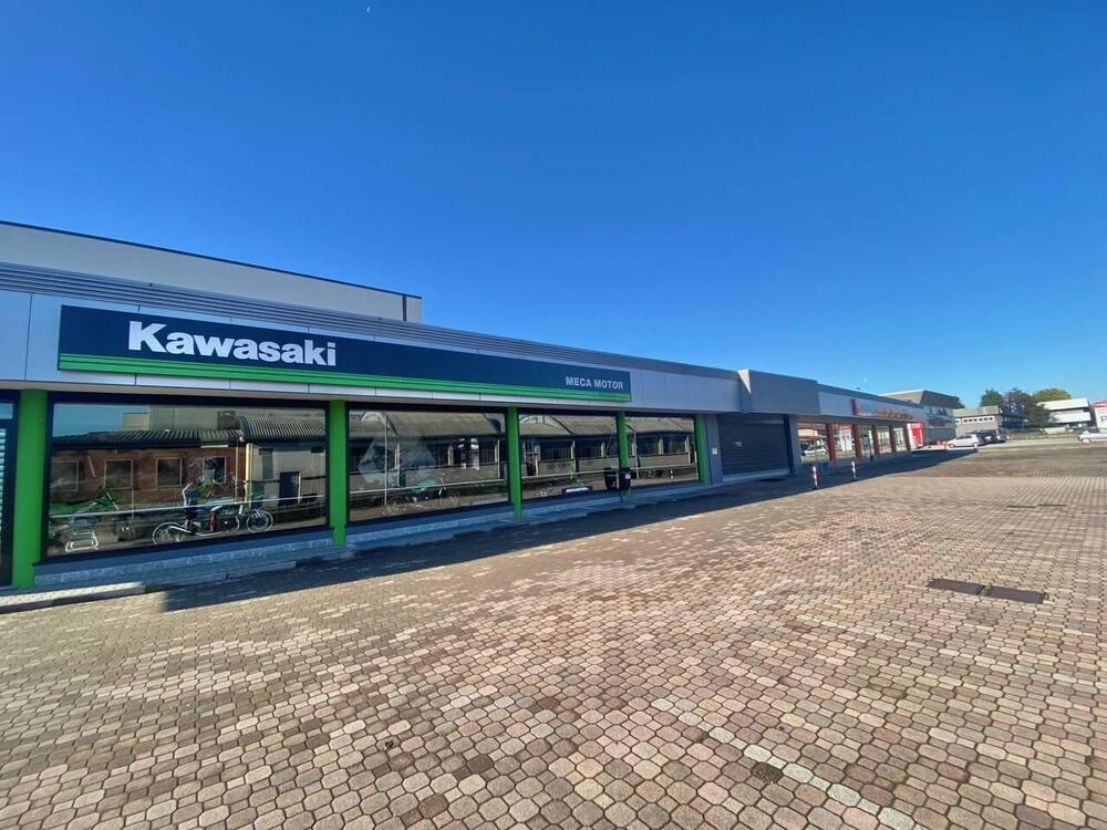 Kawasaki Ninja 636 ZX-6R (2024 - 26) (4)