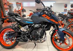 KTM 125 Duke (2024 - 26) nuova