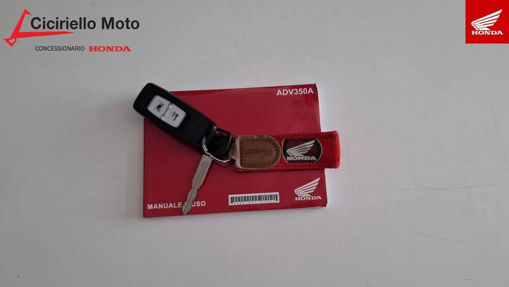 Honda ADV 350 (2022 - 24) (4)