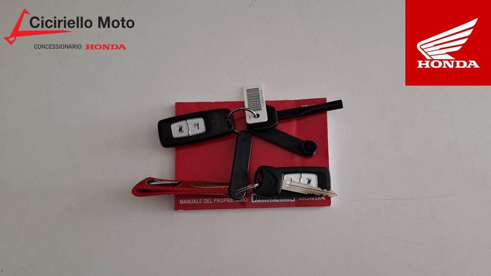 Honda ADV 350 (2025) (4)