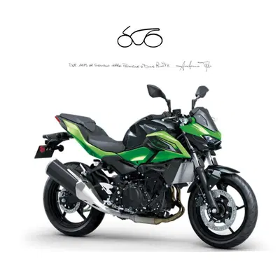 Kawasaki Z 500 (2024 - 26) nuova