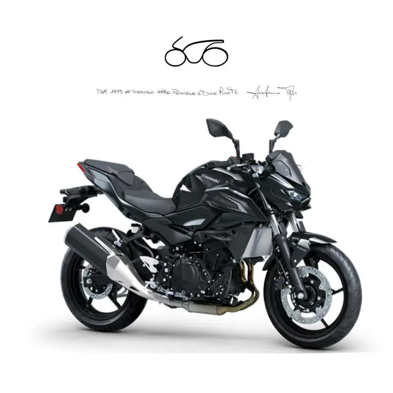 Kawasaki Z 500 (2024 - 26)