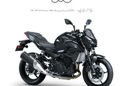 Kawasaki Z 500 (2024 - 26) nuova