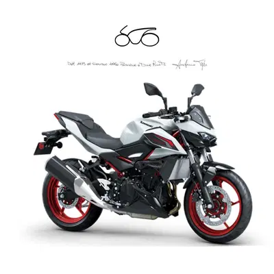Kawasaki Z 500 SE (2024 - 26) nuova
