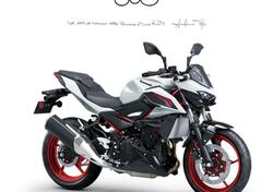 Kawasaki Z 500 SE (2024 - 26) nuova