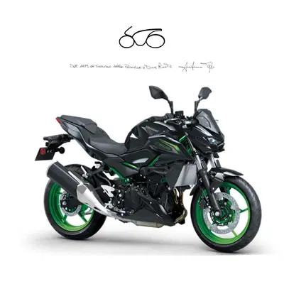 Kawasaki Z 500 SE (2024 - 26) nuova