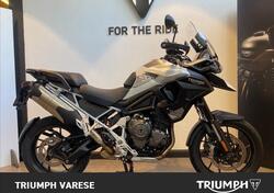 Triumph Tiger 1200 GT Pro (2022 - 23) usata