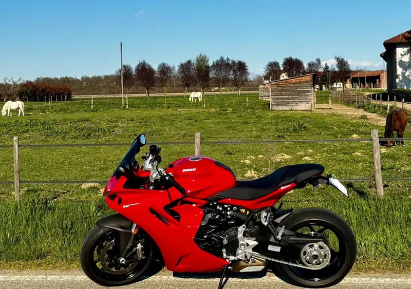 Ducati SuperSport 950 (2021 - 24) (3)