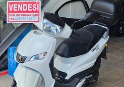 Peugeot Tweet 50 Active (2021 - 25) usata