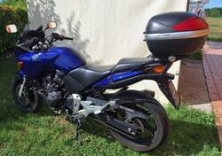 Honda CBF 600 (2004 - 06) usata