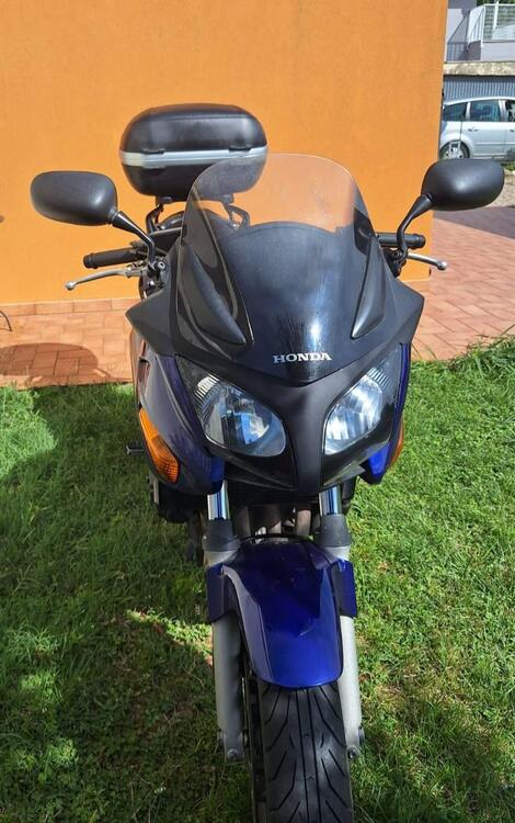 Honda CBF 600 (2004 - 06) (2)