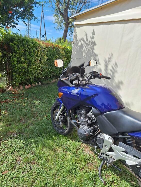 Honda CBF 600 (2004 - 06) (4)