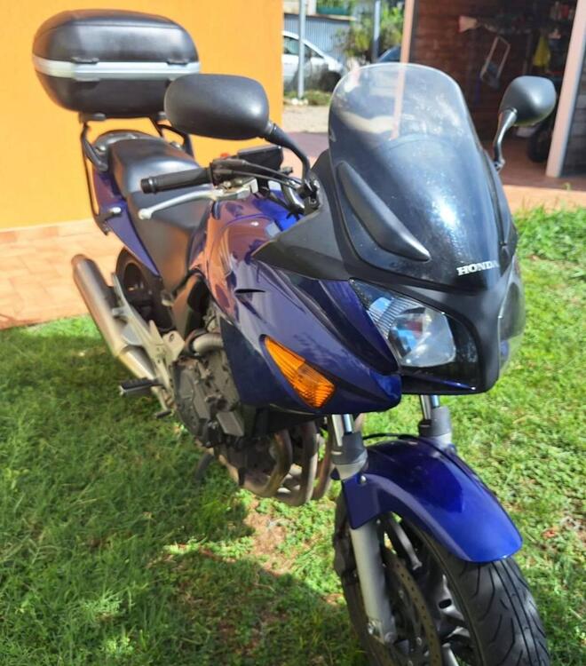 Honda CBF 600 (2004 - 06) (5)