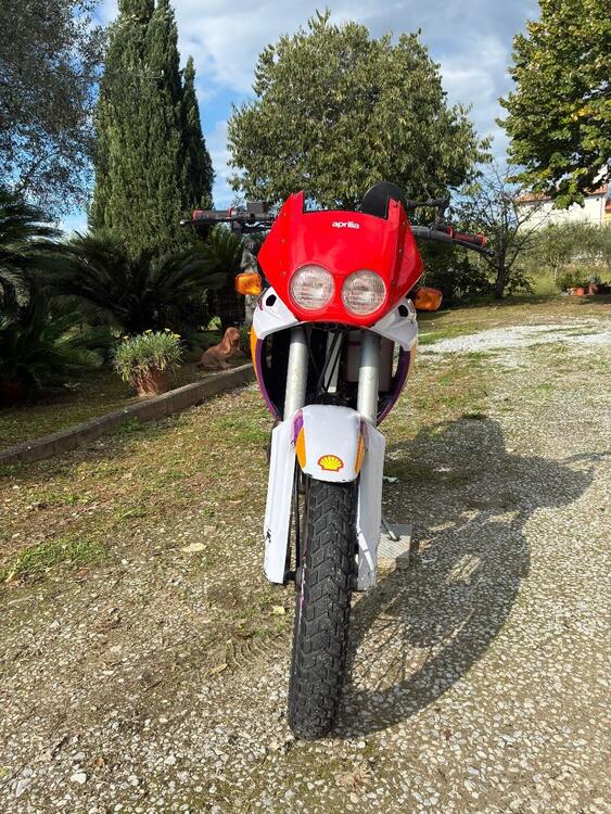 Aprilia Pegaso 50 (3)