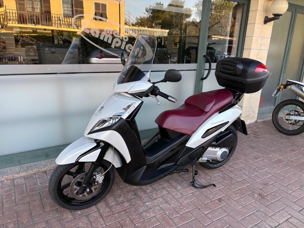 Peugeot Geopolis 300 (2013 -15) (2)