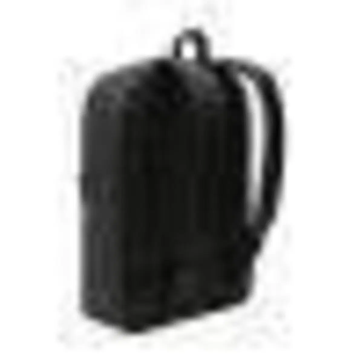 Zaino Dickies Chickaloon bag black (5)
