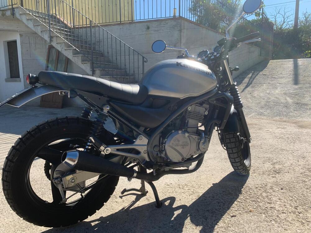 Kawasaki ER-5 500 (2001 - 06) (2)