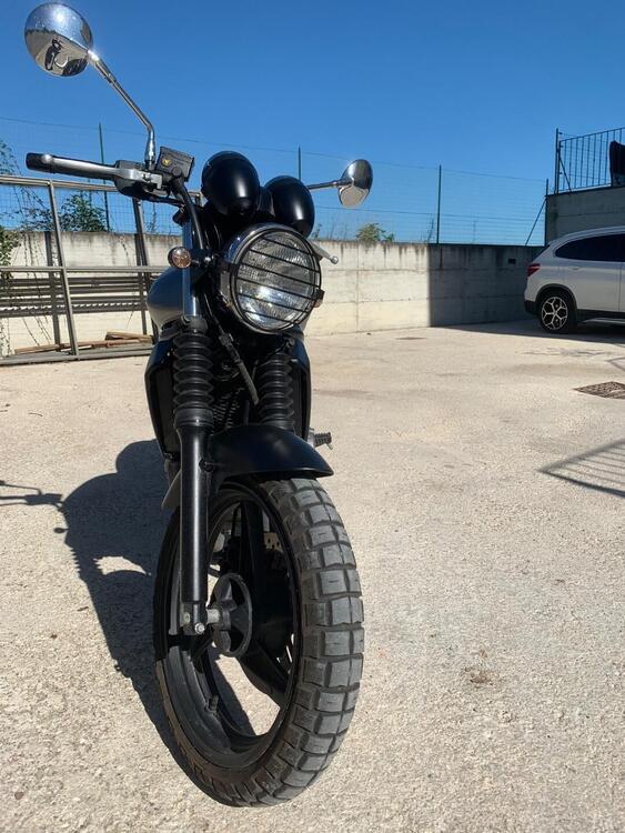 Kawasaki ER-5 500 (2001 - 06) (3)