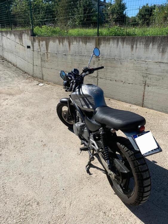 Kawasaki ER-5 500 (2001 - 06) (4)